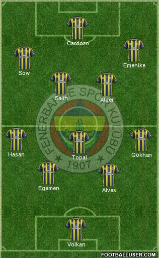 Fenerbahçe SK Formation 2013