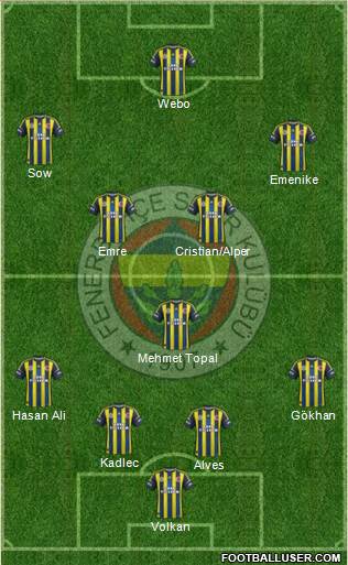 Fenerbahçe SK Formation 2013