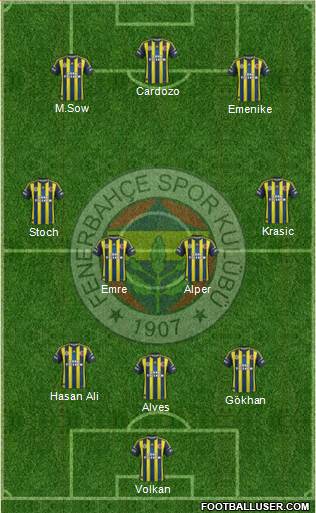 Fenerbahçe SK Formation 2013