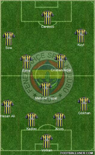Fenerbahçe SK Formation 2013