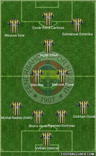 Fenerbahçe SK Formation 2013