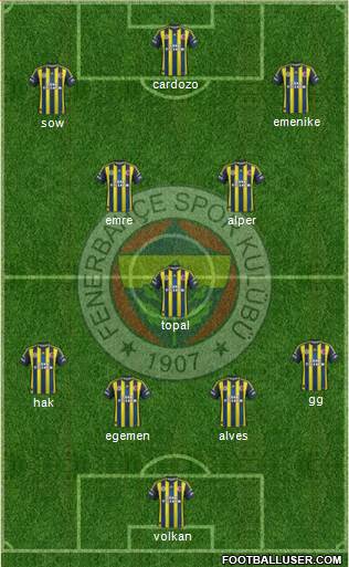 Fenerbahçe SK Formation 2013