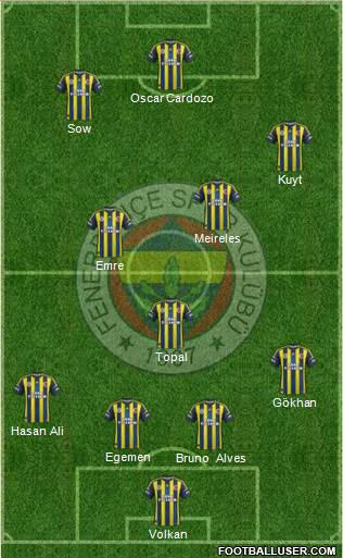 Fenerbahçe SK Formation 2013