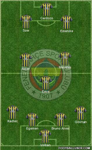 Fenerbahçe SK Formation 2013