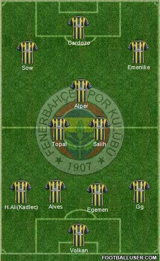 Fenerbahçe SK Formation 2013