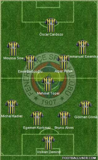 Fenerbahçe SK Formation 2013