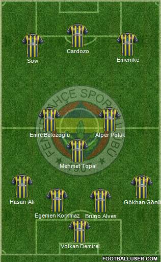 Fenerbahçe SK Formation 2013