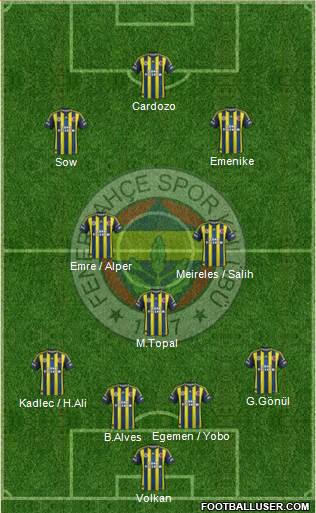 Fenerbahçe SK Formation 2013