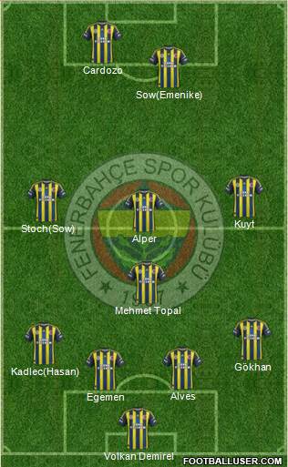 Fenerbahçe SK Formation 2013