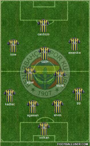 Fenerbahçe SK Formation 2013