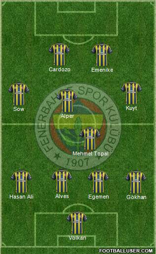 Fenerbahçe SK Formation 2013