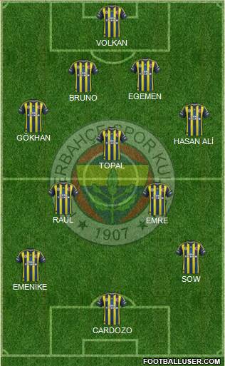 Fenerbahçe SK Formation 2013