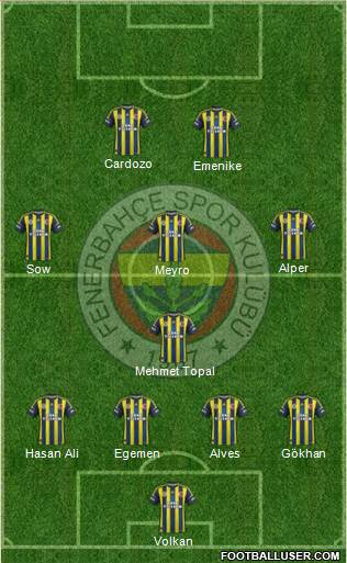 Fenerbahçe SK Formation 2013