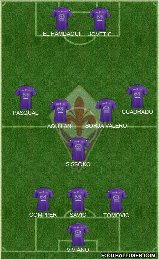 Fiorentina Formation 2013