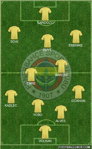 Fenerbahçe SK Formation 2013