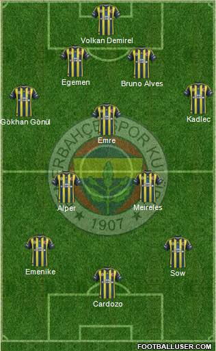 Fenerbahçe SK Formation 2013