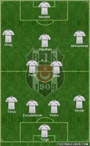 Besiktas JK Formation 2013