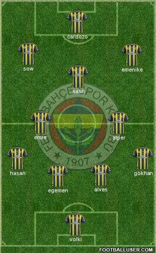 Fenerbahçe SK Formation 2013