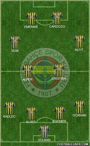 Fenerbahçe SK Formation 2013