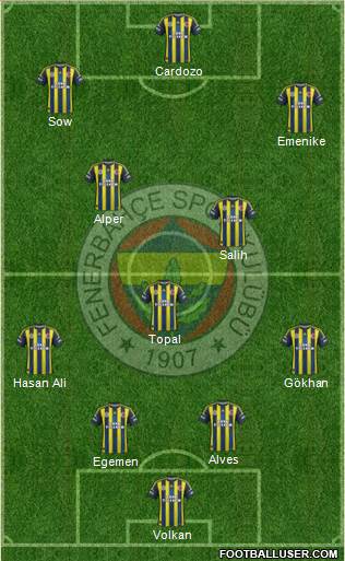 Fenerbahçe SK Formation 2013