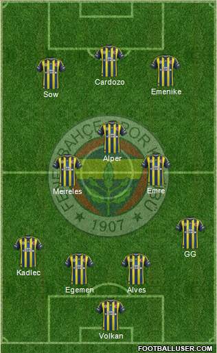 Fenerbahçe SK Formation 2013