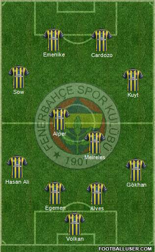 Fenerbahçe SK Formation 2013