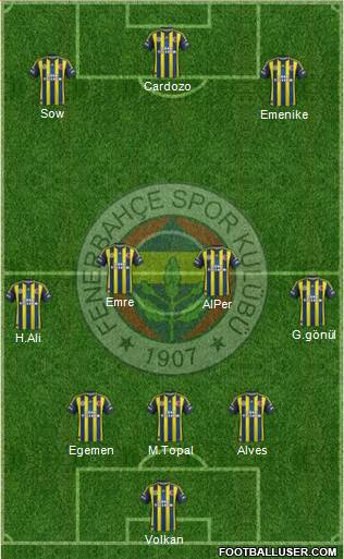 Fenerbahçe SK Formation 2013