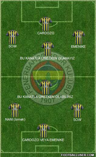 Fenerbahçe SK Formation 2013