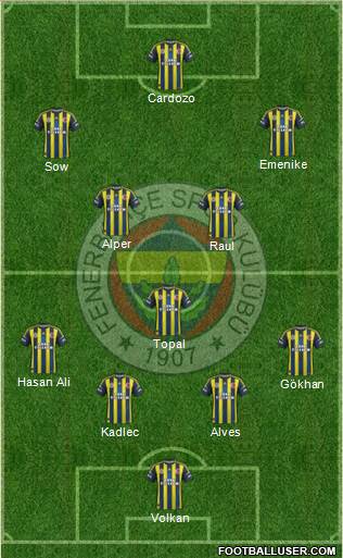 Fenerbahçe SK Formation 2013