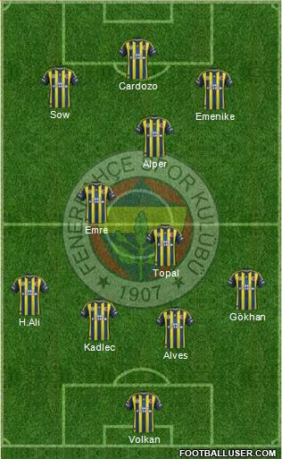 Fenerbahçe SK Formation 2013