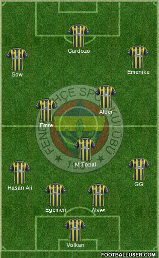 Fenerbahçe SK Formation 2013