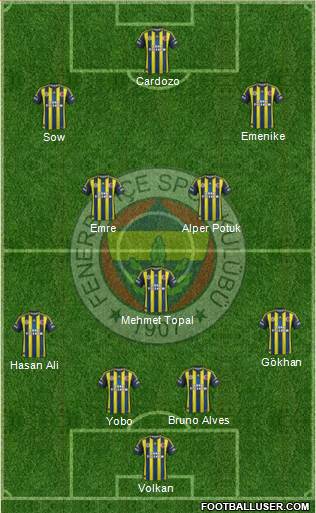 Fenerbahçe SK Formation 2013