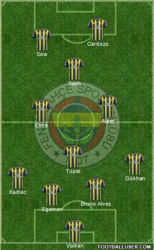 Fenerbahçe SK Formation 2013