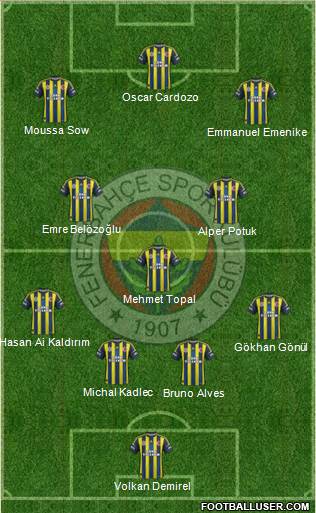 Fenerbahçe SK Formation 2013