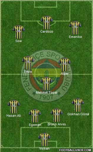 Fenerbahçe SK Formation 2013