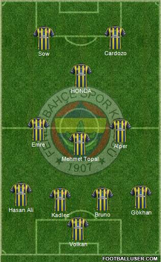 Fenerbahçe SK Formation 2013