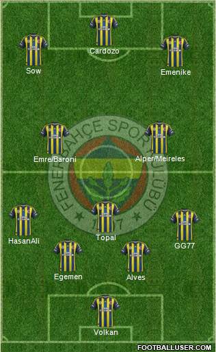 Fenerbahçe SK Formation 2013