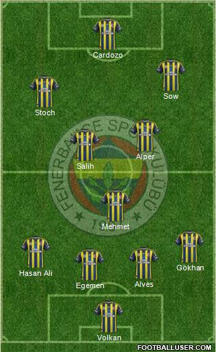 Fenerbahçe SK Formation 2013