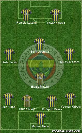 Fenerbahçe SK Formation 2013