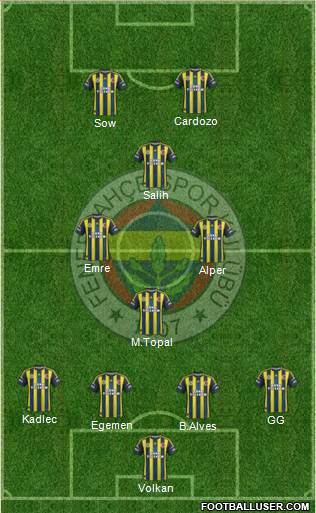 Fenerbahçe SK Formation 2013