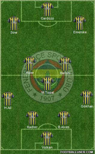 Fenerbahçe SK Formation 2013