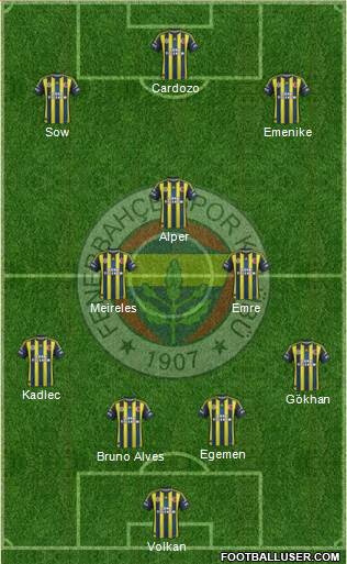 Fenerbahçe SK Formation 2013