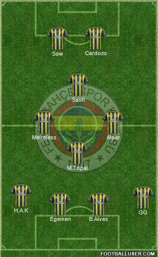 Fenerbahçe SK Formation 2013