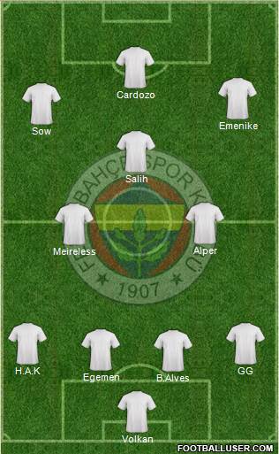 Fenerbahçe SK Formation 2013