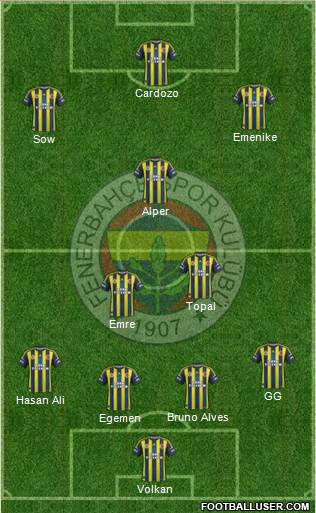 Fenerbahçe SK Formation 2013