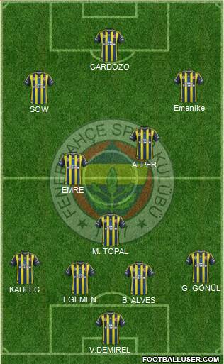 Fenerbahçe SK Formation 2013