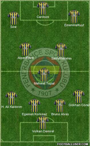 Fenerbahçe SK Formation 2013
