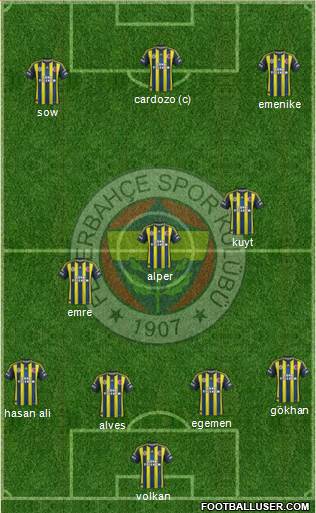 Fenerbahçe SK Formation 2013