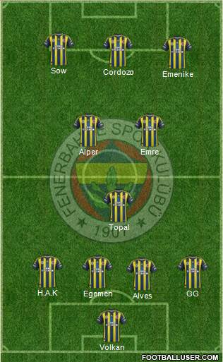 Fenerbahçe SK Formation 2013