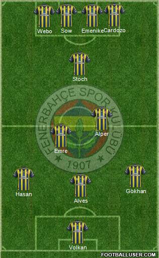 Fenerbahçe SK Formation 2013
